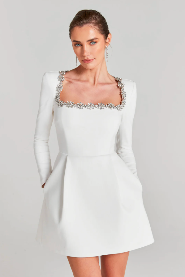 Rosea Sophisticated Mini Dress